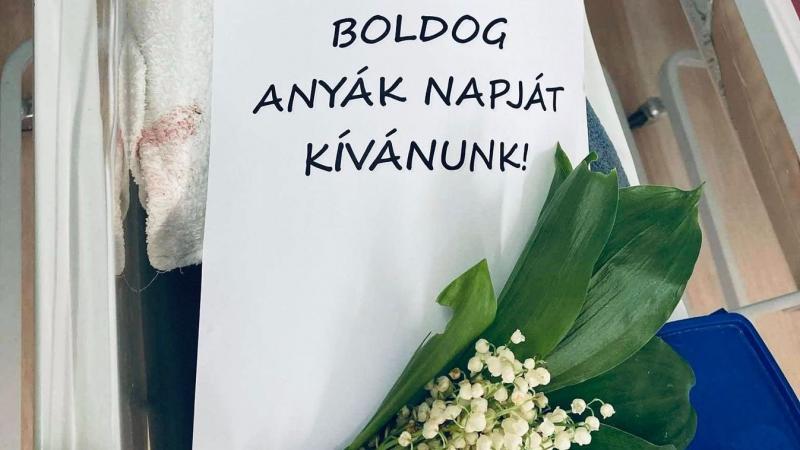 Patakokban zubogtak az érzelmek, amikor sokan megnyíltak: itt az anyák napjára készült legszívhez szóló üdvözlet.