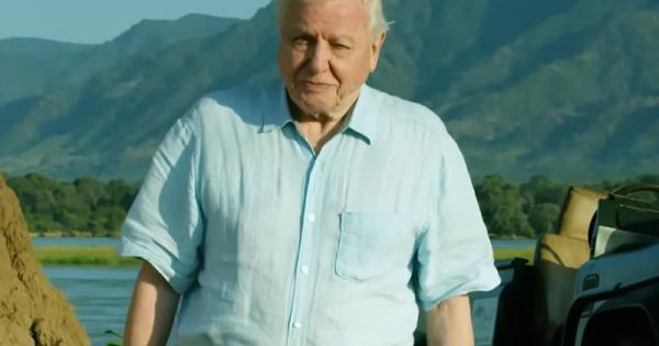A BBC Earth különleges módon köszönti a majdnem százéves David Attenborough-t, egy igazi ikonikus személyiséget. Az ünneplés során a nézők betekintést nyerhetnek Attenborough lenyűgöző életművébe és a természet iránti szenvedélyébe, amely évtizedeken át i