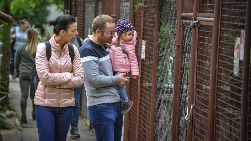 A gyöngyösi állatkert lakója olyan társra lelt, aki háromszor nagyobb nála, így igazán különleges barátság született közöttük.