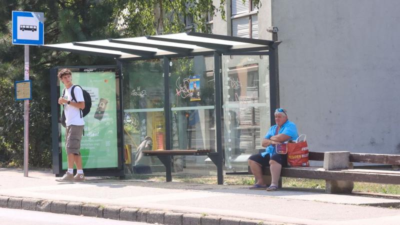 Hajdú-Biharban ideiglenesen áthelyezték a buszmegállót, így a helyi lakosoknak ébernek kell lenniük!