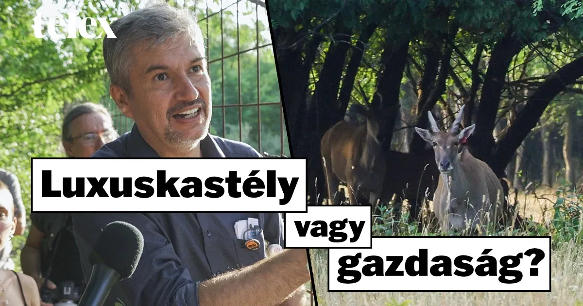 Hadházy: A ló nem csupán egy állat, hanem egy mezőgazdasági vállalkozás szimbóluma is.