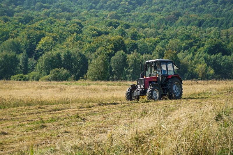 Az EP-képviselők arra törekednek, hogy a gazdák számára nagyobb fokú rugalmasságot és támogatást nyújtsanak a közös agrárpolitika (KAP) előírásainak teljesítése során.