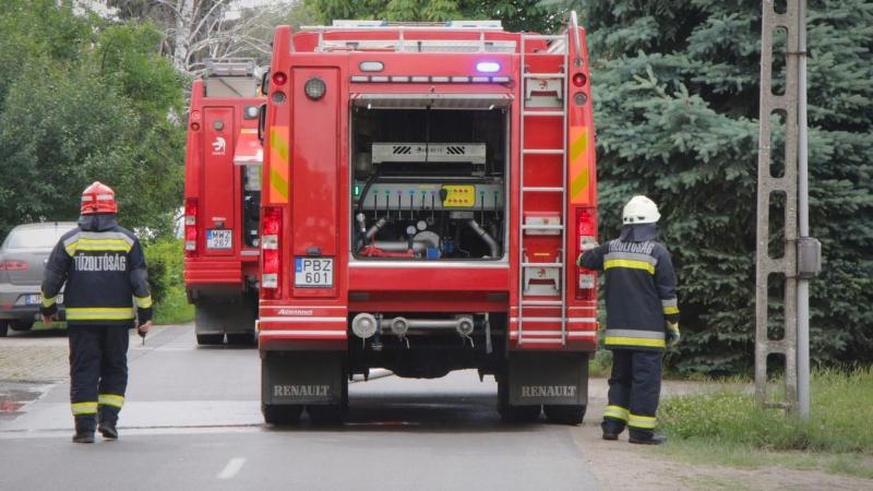 Lángoló bokrok díszítették a Balaton partját, a háztetők is az éjszaka tüzében rohamosan izzottak.