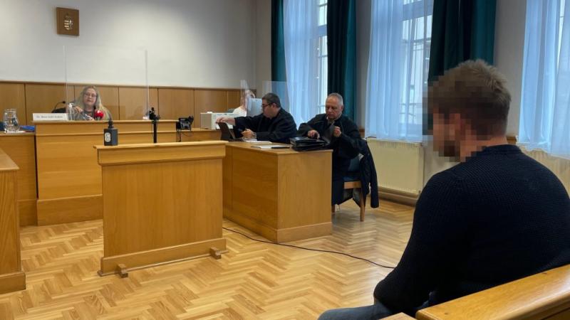 A teherautó-sofőr éppen üzenetet írt a telefonján, amikor a zebrán áthaladó hét élete tragikusan véget ért.
