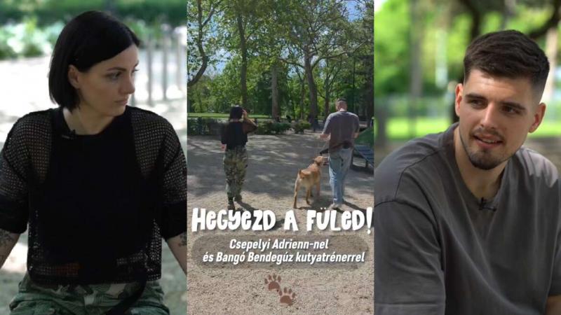 A gyerekek állatbarát mivoltuk nagymértékben a szülők hozzáállásától függ - Hallgass figyelmesen! (videó)