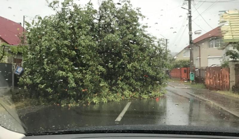 Kedden Kárpátalján továbbra is viharos szél fúj, amely helyenként fákat dönt a földre. Az időjárás viszontagságai miatt érdemes fokozott óvatossággal közlekedni, hiszen a szél ereje számos meglepetést tartogathat.