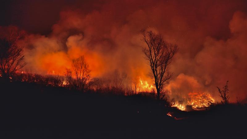 Óriási tűz pusztít Budapest közelében: különleges pyrocumulus felhőformáció jelent meg a területen, és a helyszínen már mobil labor is dolgozik.