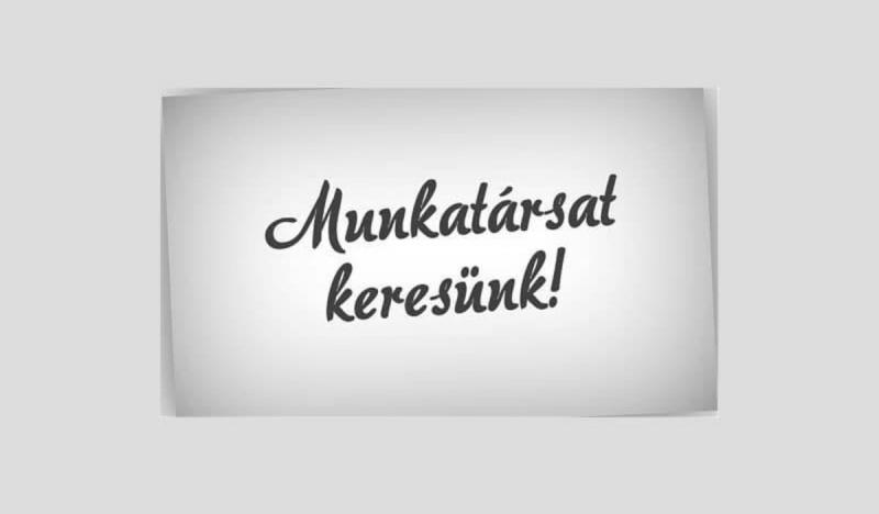 A Kárpátalja.ma csapata honlapszerkesztőt keres, hogy friss és vonzó tartalommal gazdagítsa online felületünket!