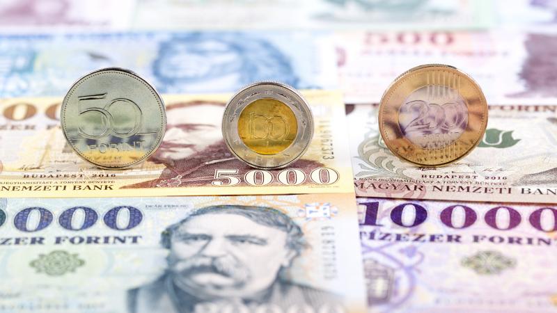 Egyedi 3%-os hitelvállalkozások számára: néhány részlet tisztázása

Az új, 3%-os hitelprogram a vállalkozások számára izgalmas lehetőségeket kínál. A legfrissebb információk alapján a pénzügyi intézmények néhány fontos részletet tisztáztak, amelyek segíth
