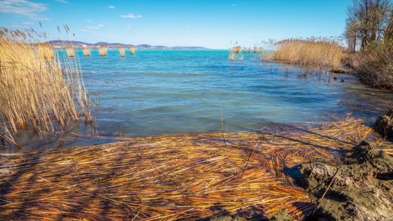 A Balaton vízszintje mégsem olyan aggasztó, mint ahogy azt sokan gondolják? Kutatói vélemények érkeztek, amelyek szerint az alacsony vízállás nem jelent komoly problémát. - Pénzcentrum