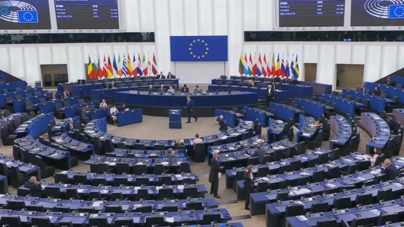 Az Európai Parlament aggodalmát fejezte ki a Szerbiában tapasztalható növekvő elnyomás és erőszak miatt – számolt be a Vajdaság MA.