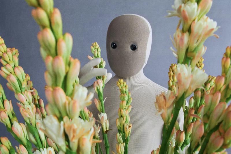 Megérkezett a régóta várt robotgép, amely mindenki álmát valóra váltja!